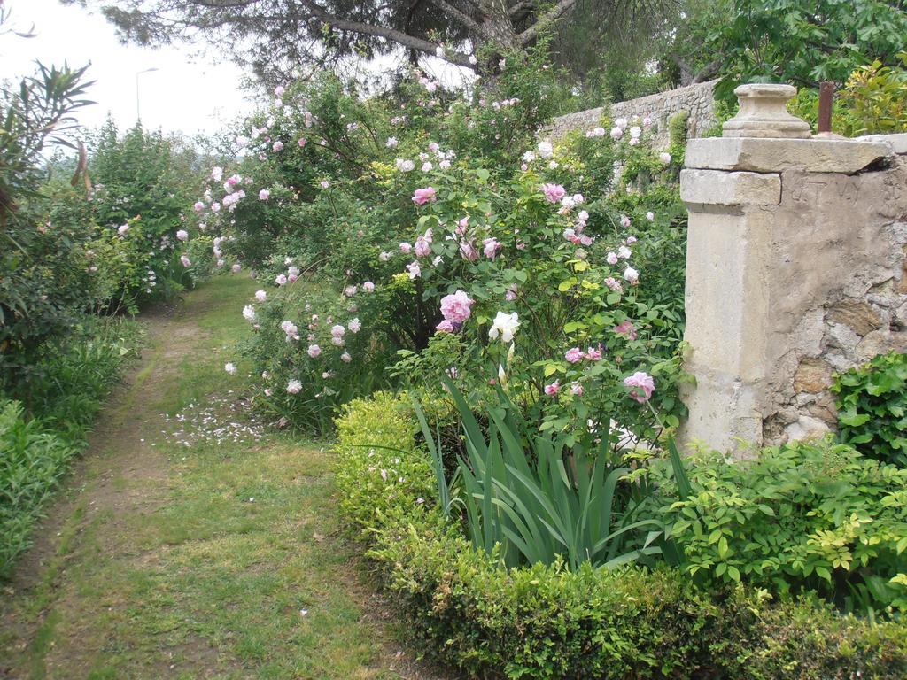 Le Seminaire Bed & Breakfast Roussas Dış mekan fotoğraf