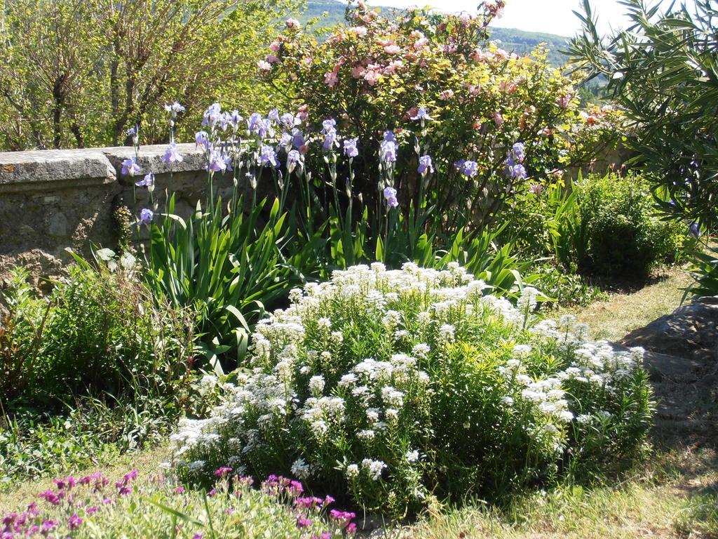 Le Seminaire Bed & Breakfast Roussas Dış mekan fotoğraf