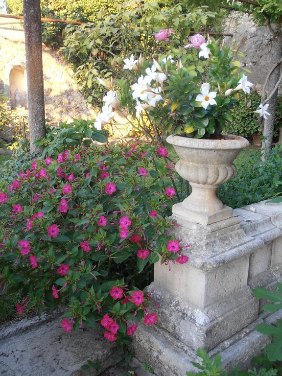 Le Seminaire Bed & Breakfast Roussas Dış mekan fotoğraf